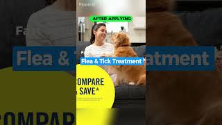 ProductName PetArmor Plus Large Dog Flea &amp; Tick Treatment ScripType SELLING POINTS