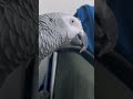 聞きなれない音には敏感
