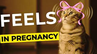HOW  CAT Pregnancy Changes a CAT’s Perception