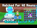 OMG I Finally Hatched A Secret Pet! Hatched 50th Update Egg For 40 Hours - Bubble Gum Simulator