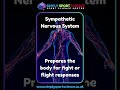 Sports Science: #sympathetic #Nervous #System #physiology #gcsepe #ibsehs #revision #sportsscience