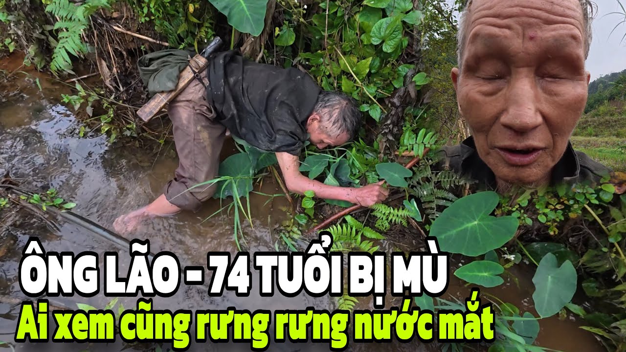 ÔNG LÃO 72 TUỔI BỊ MÙ RA SUỐI BẮT CÁ MƯU SINH AI XEM CŨNG RƯNG RƯNG NƯỚC MẮT