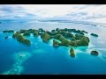 Dive Palau, This is How You Should Do It!