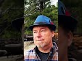 Fallen Tree Mystery: What Did I Really See? #shorts