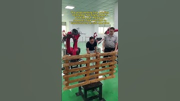 Armspan 1.5m Load 10kg#Painting robot#Six-axis robot#Industrial Robots