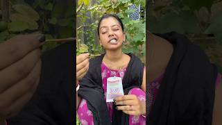 Survival Skills: SMART ideas and Useful in forest #survival #useful #ideas #smart #shorts #camping