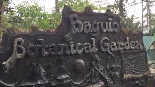 Baguio Botanical Garden,  Bahav Kubo, Japanese Tunnel, Taebaek Park, Hangzhhou China