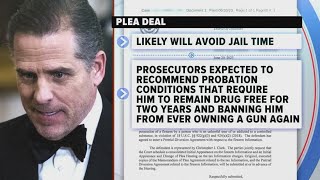 Law expert, Republicans speak on Hunter Biden plea deal