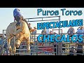 COLECCION DE PUROS REPAROS ESPECTACULARES!! puros toros lucidos que ´prenden al publico