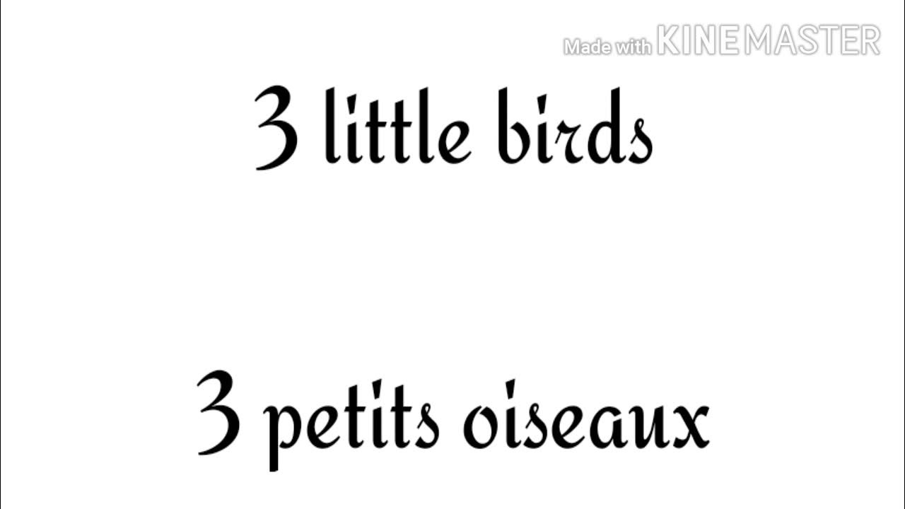 Bob marley " 3 little birds" traduction en français. - YouTube
