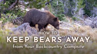 Backpacking Safely in Bear Country: Tips for Keeping Your Fears at Bay