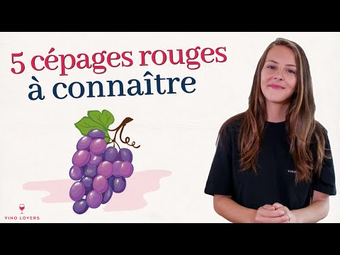 Vidéo: Bons cépages : avis, description