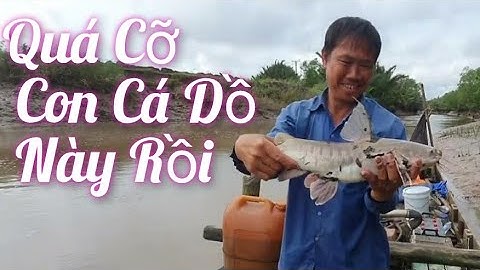Te Trúng Tôm Càng, Cá Dồ Biển Lựa Đã Tay Luôn|| TCNTV #67