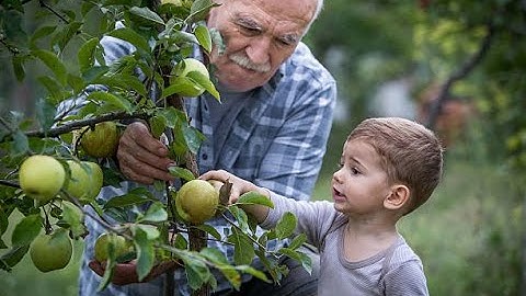 F.L.A.S.H. Video - Tree of Success