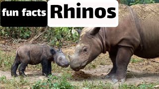 #animals #rhino funfacts About Rhinos by Animal Explorer 47 views 1 year ago 1 minute, 52 seconds