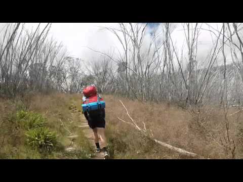 Bungalow Spur to Mt Feathertop
