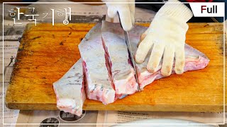 [Full] 한국기행 - 흑산도와 자산어보 2부 연잎을 닮은 물고기 20140325