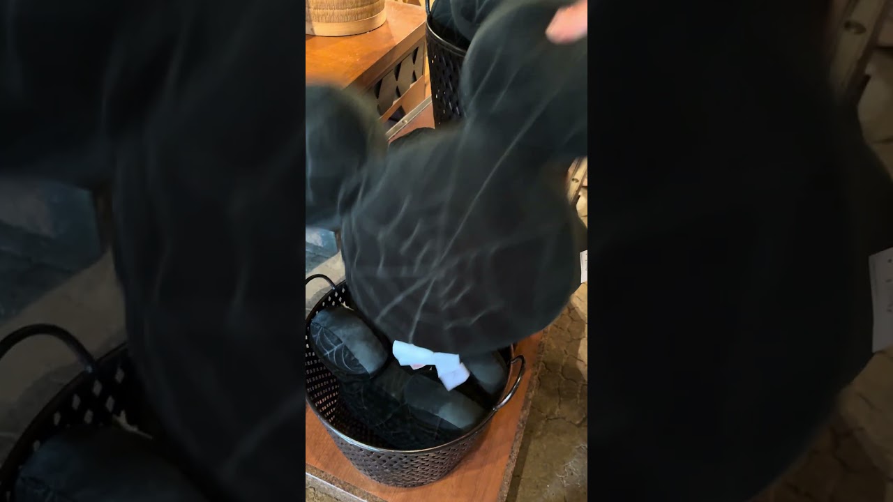 Disney World Spider web pillows