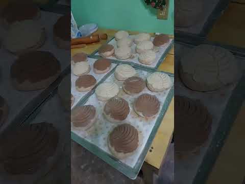 conchitas pan dulce