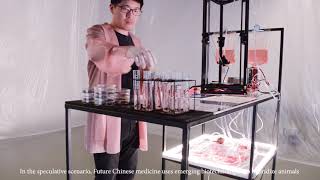 Tiger Penis Project by Kuang-Yi Ku | Future Food Design Awards 2018 finalist