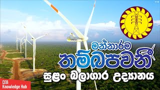 'Thambapavani'  -  Mannarama Wind Power Park | CEB Knowledge Hub