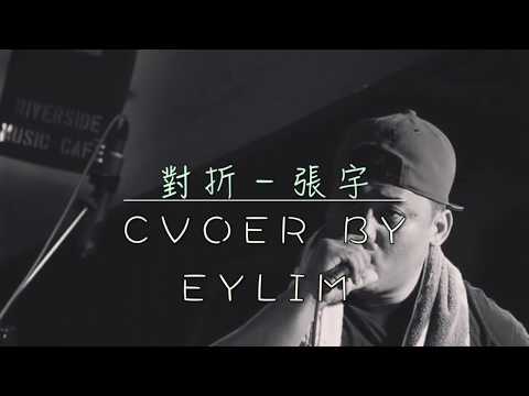 對折-張宇