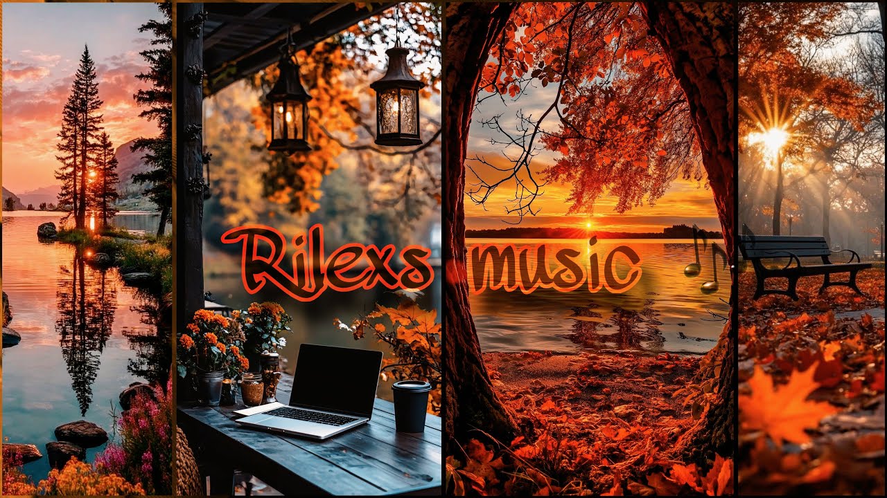 Late Night Coffee Shop ☕ Lofi Beats to Relax, Study & Clear Your Mind 🌌