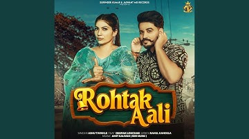 Rohtak Aali