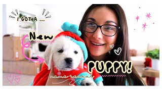 I GOT A NEW PUPPY!!!