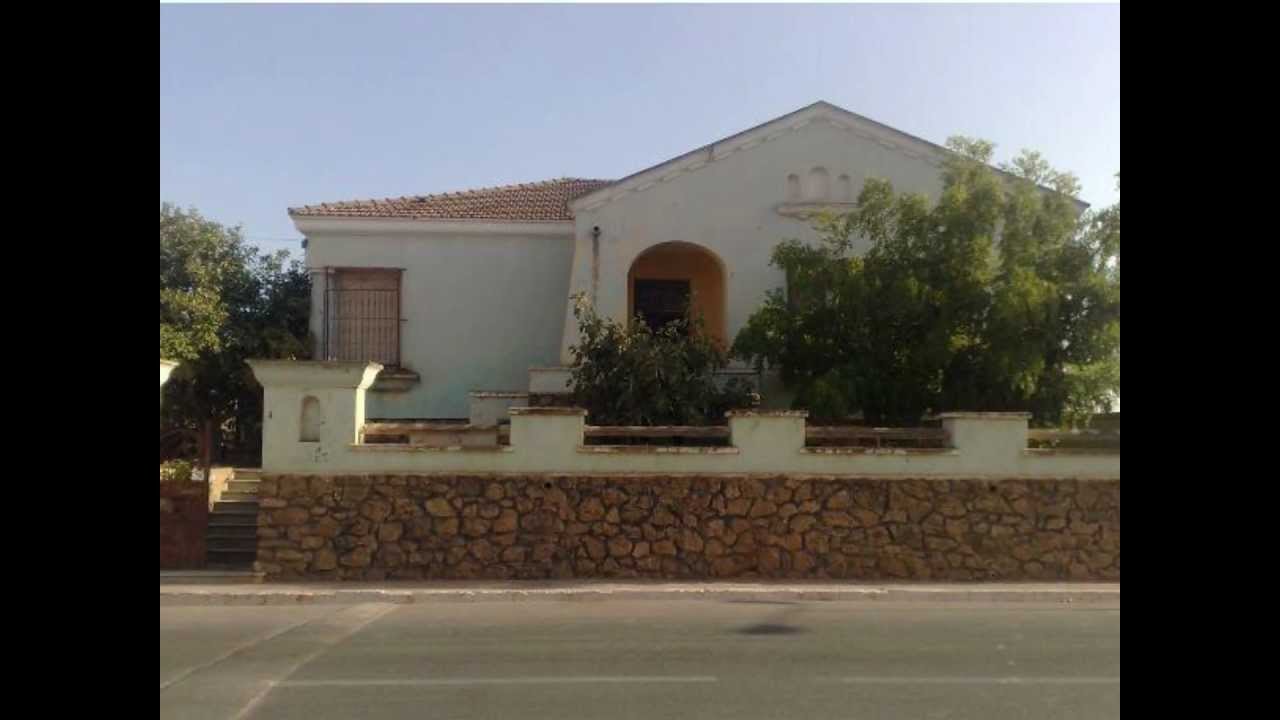 sour ex belle vue mostaganem hd.wmv