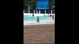 The Same Amazing Guy Dancing To MOMOLAND :D