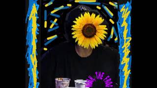 Van Gogh - NOSHY
