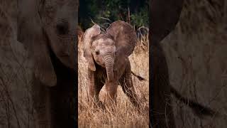 A photo safari you will never forget