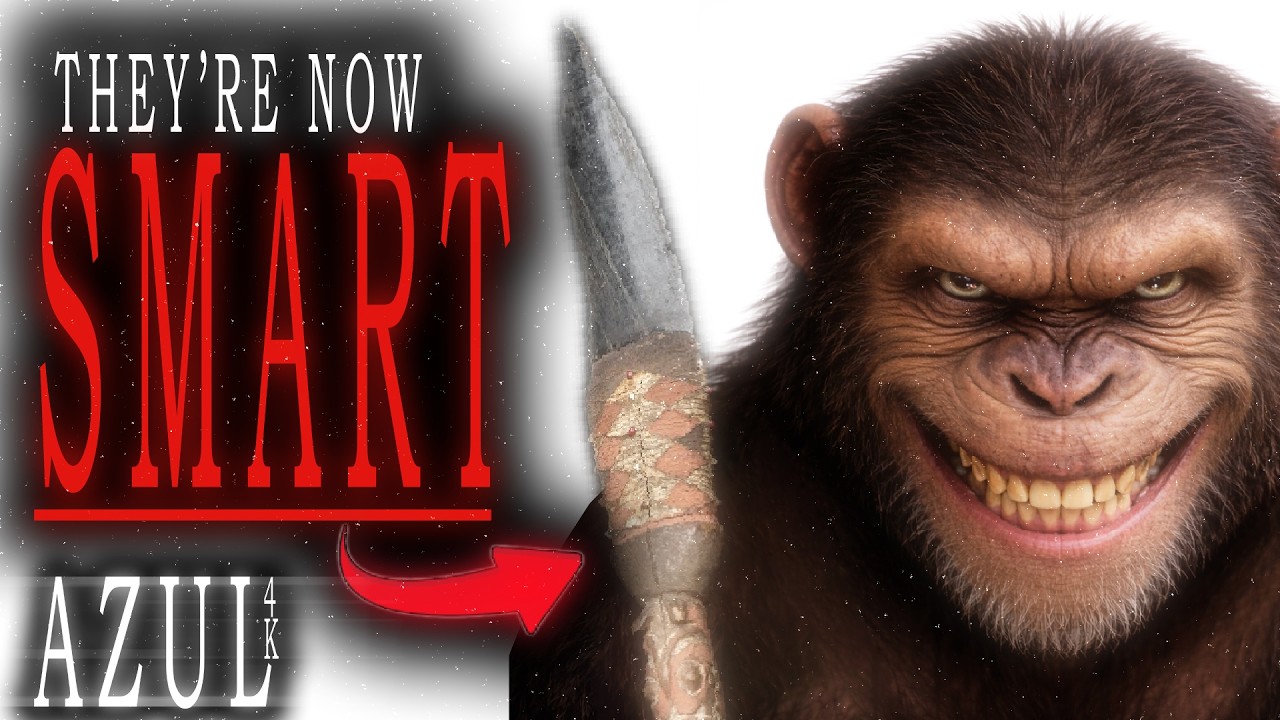 Are Chimps Now EVOLVING?