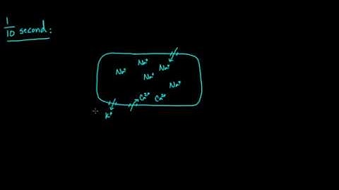 01   Nerve regulation of the heart   02   Changing the heart rate   chronotropic effect