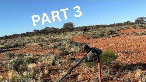 Part 3.Detecting the Western Australian goldfields. GPX 6000 and GPZ 7000. Nice specie found