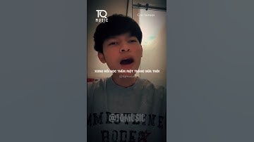 Đi học có gì đâu áp lực... #tqmusic #shorts #xuhuongyoutube #trendingshorts #thinhhanh #dihoc #viral