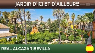 Jardins d'ici et d'ailleurs - Jardins de l'Alcázar - Séville - Espagne - S/T Français