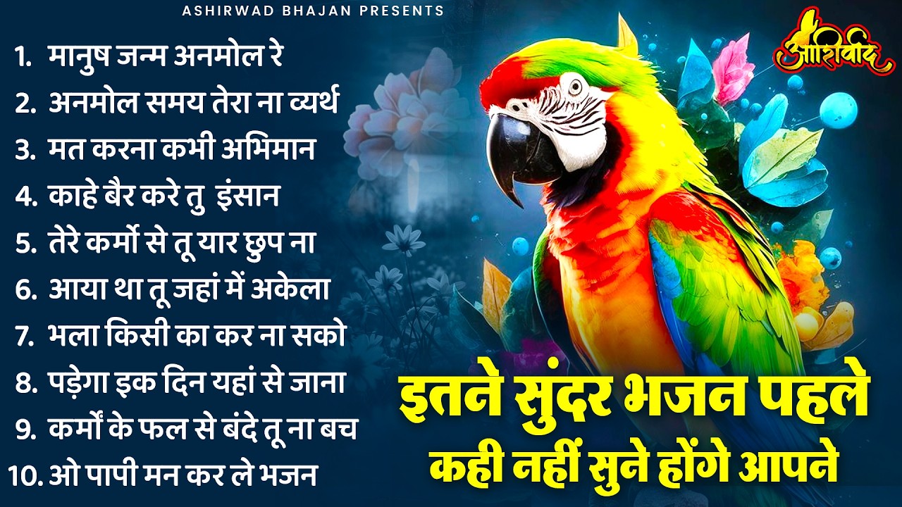 इतने सुंदर भजन पहले कही नहीं सुने होंगे | Nonstop Satsangi Nirgun Bhajan | चेतावनी भजन | निर्गुण भजन