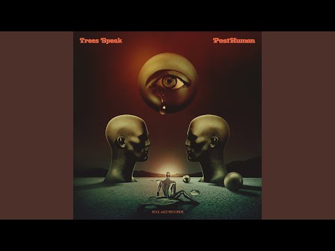 Trees Speak — Divided Light