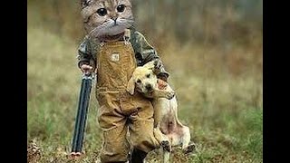 Best Hunting Gun Fails Compilation