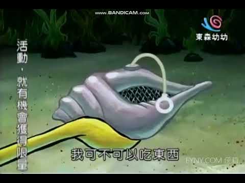 海綿寶寶  神奇海螺