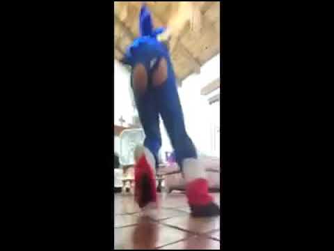 sonic-go-fast-meme