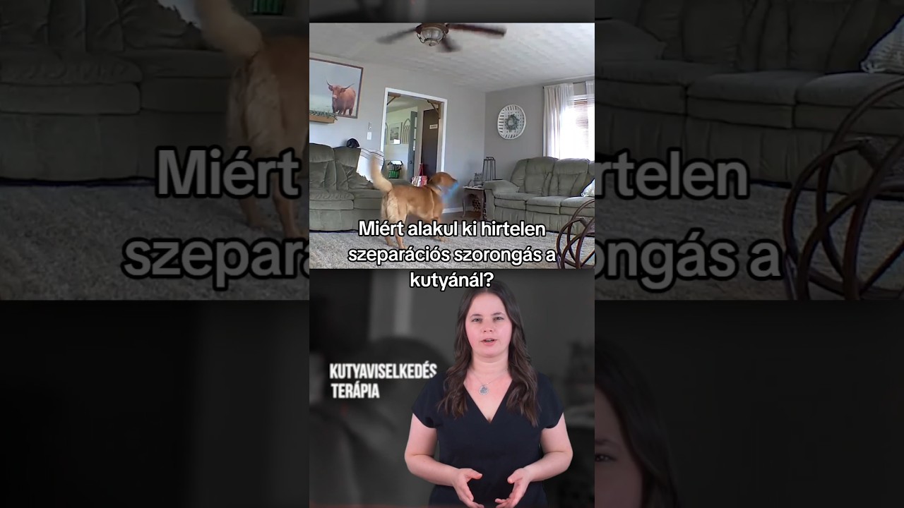 YouTube player