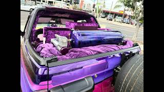 Chicano Park Day 2026 #purplepuff99