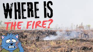 Why Are Indonesia’s Fires So Hard to Put Out?