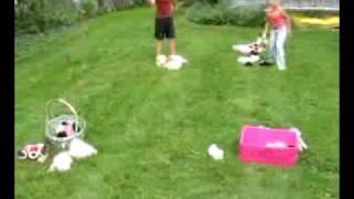Webkinz Pets and Playing Games Outside: Webkinz Olympics