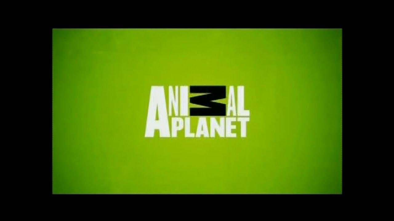 Animal Planet Latinoamérica - Gráficas (2015-2019)