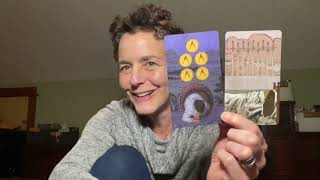 Surrender? Wobble Reading - 21 Jan @MindfulTarot