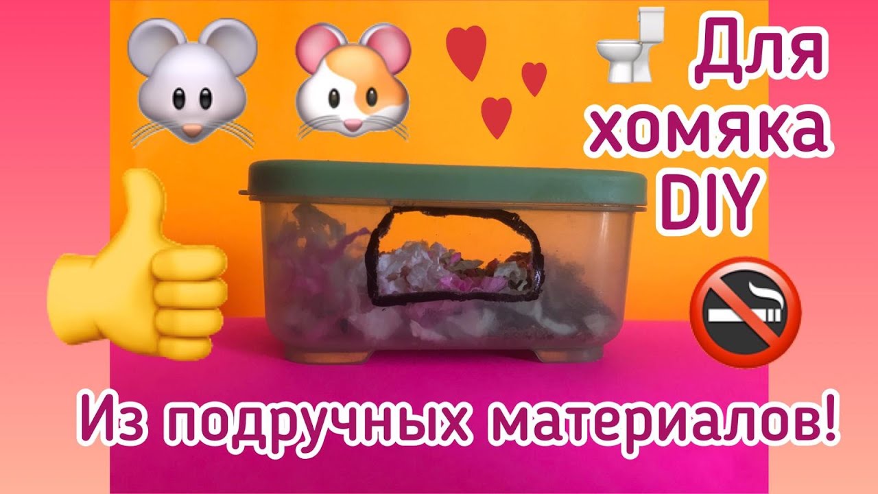 Как сделать туалет для хомяка своими руками? DIY от Злата и Хомки!